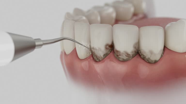 Reliable Dental contractor in Newport, AR by Dentist Open Now